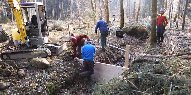 Der Bodenwald in Amsoldingen wird wieder Feuchtgebiet