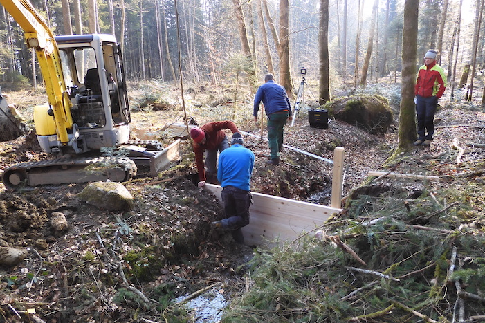 Der Bodenwald in Amsoldingen wird wieder Feuchtgebiet