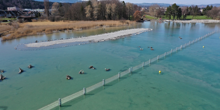 Der Ersatz Schwemmholzzaun im Gwattlischenmoos